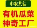致富网办厂项目（致富网创业新项目）