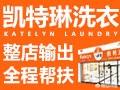 致富网办厂项目（致富网创业新项目）